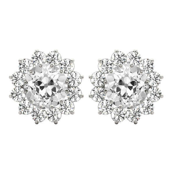 Brillant Puces d'Oreilles – vue principale