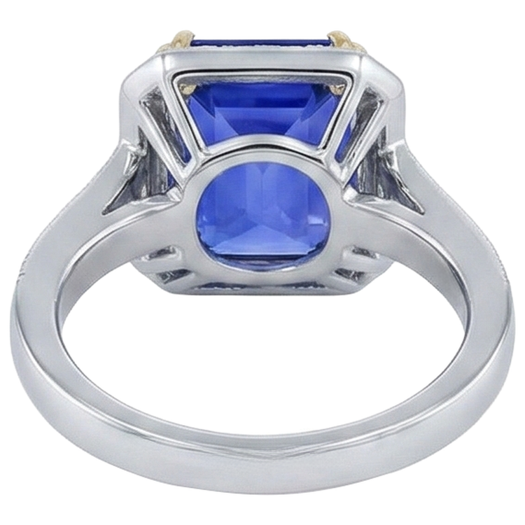 naturel tanzanite 16.50carats alliance sur blanc