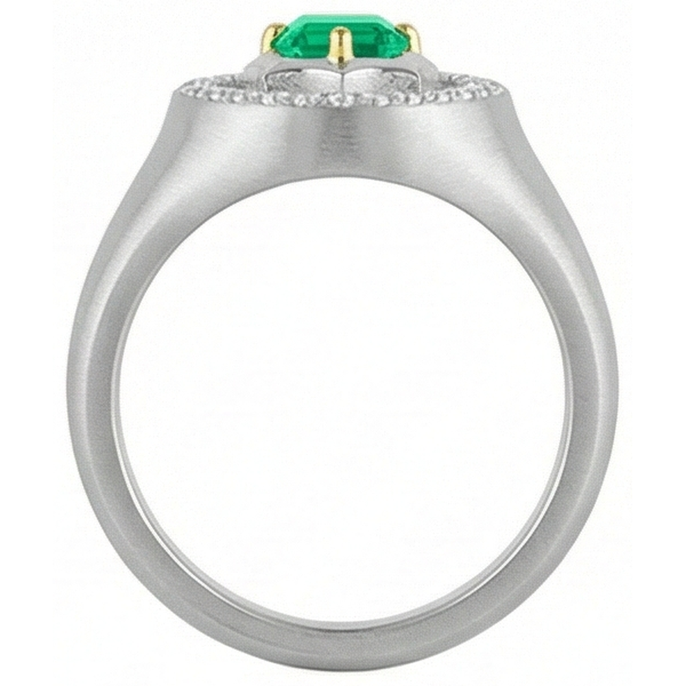 Taille Émeraude Émeraude bague en Or Deux Tons 14 Carats – vue arrière