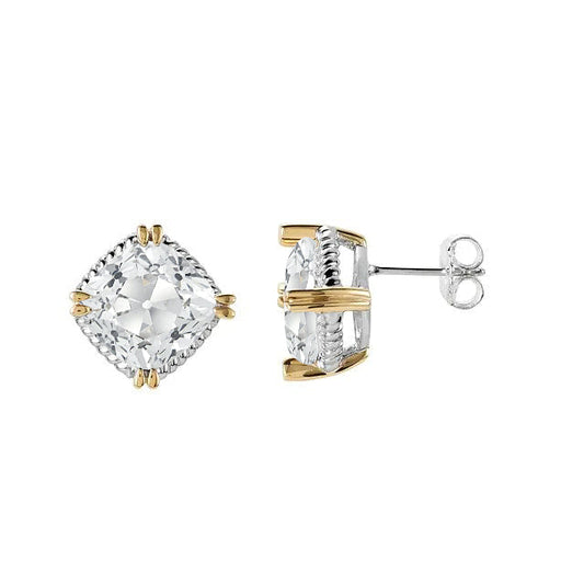 Diamant Puces d'Oreilles – vue de face