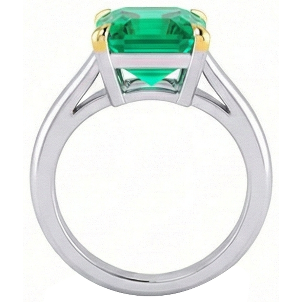 Taille à Degrés Émeraude Fine bague en Or Deux Tons 14 Carats – vue de profil