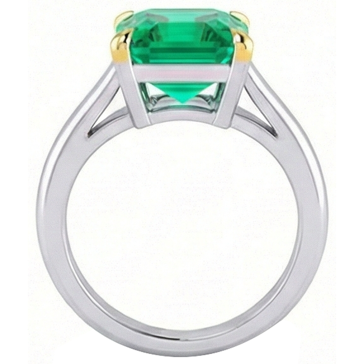 Taille à Degrés Émeraude Fine bague en Or Deux Tons 14 Carats – vue de profil