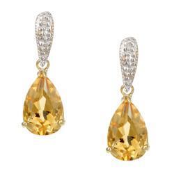 Rayonnant Gemstone Earring 42,50 carats – vue principale