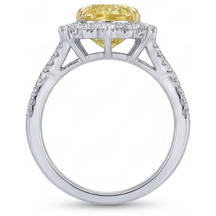 Diamant Jaune Canari Bague Sertie Halo 3,75 carats Or 14K Bicolore – vue de profil