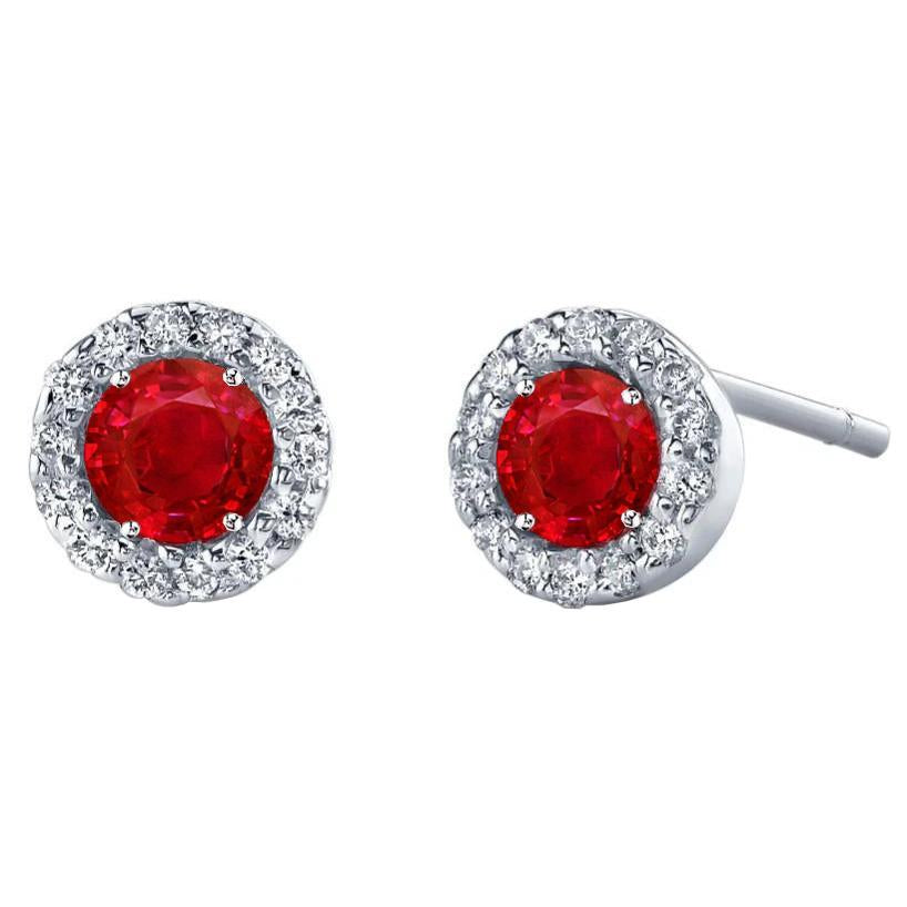 Boucles d'oreilles en rubis avec halo de diamants 5.28 ct. Or Blanc 14K - HarryChadEnt.FR